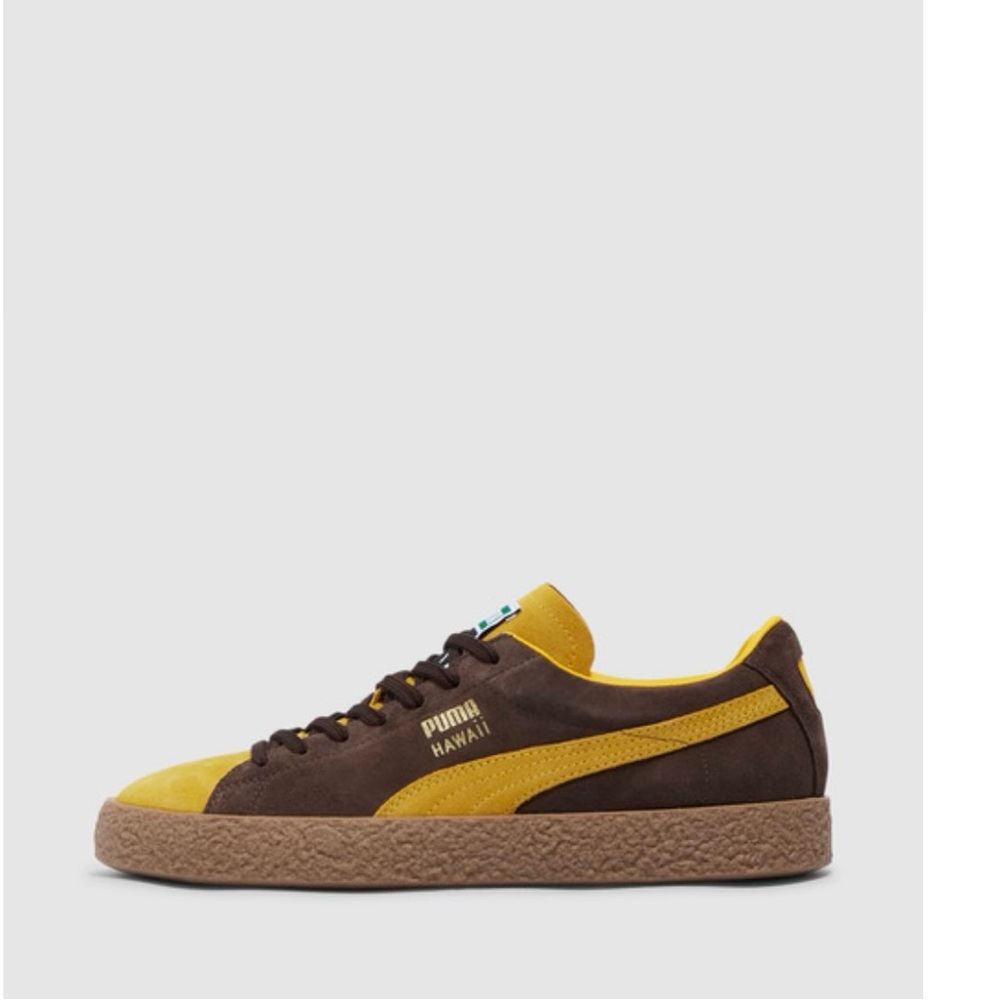 Puma Hawaii